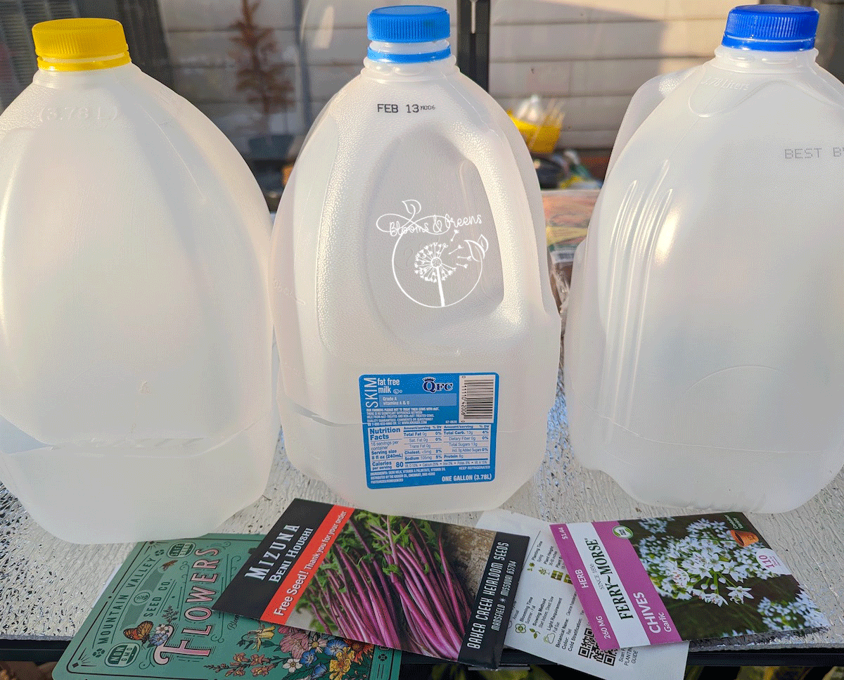 Recycled plastic jugs cleaned and cut, ready for winter sowing. 2/2023. Photo by B&G
