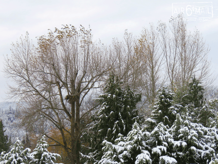 snow arrives early after a brief silence