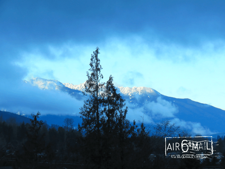 Mt. Angeles under a blanket of snow. Friday, January 7, 2022 at 9:06 AM. Photo by B&G