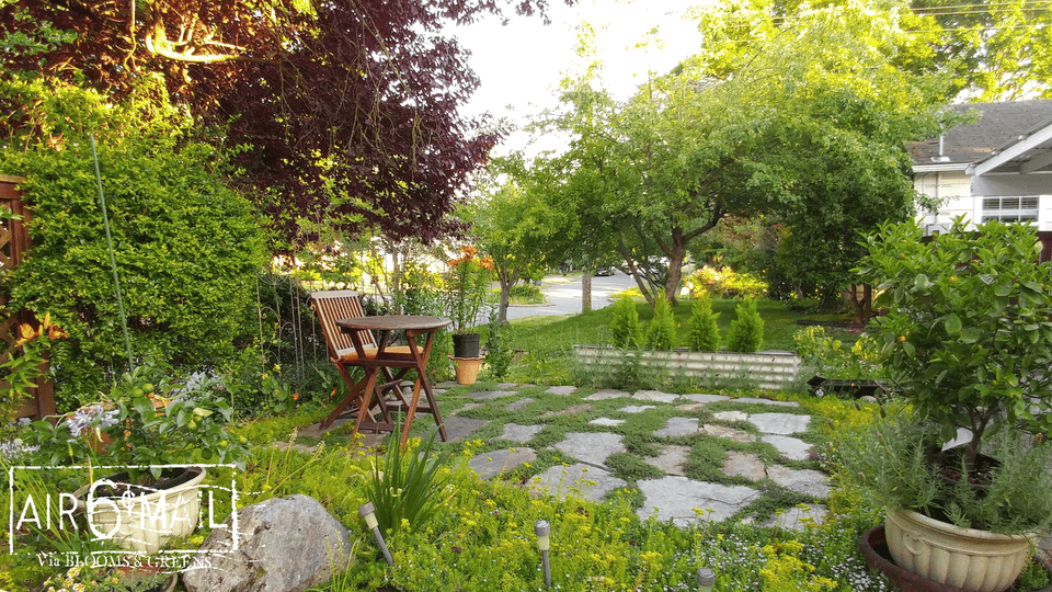 Old Garden. Seattle, 2017. Photo by B&G