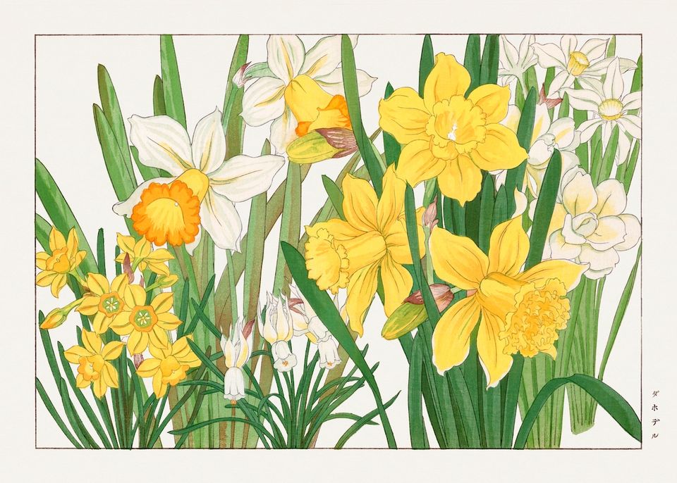 Daffodil woodblock painting. CCO Image via rawpixel.